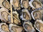 Buy Plate Oysters Online