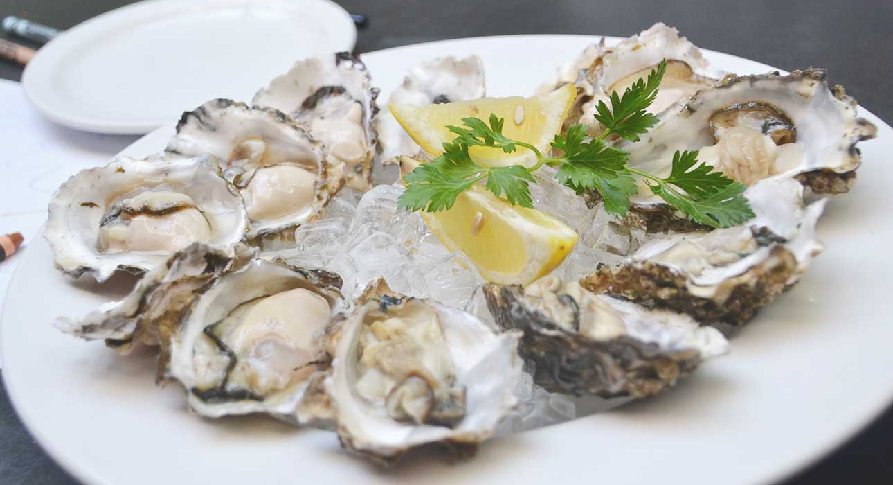 Wallis Lake Fishermen's CoOp Fresh Seafood Forster Tuncurry